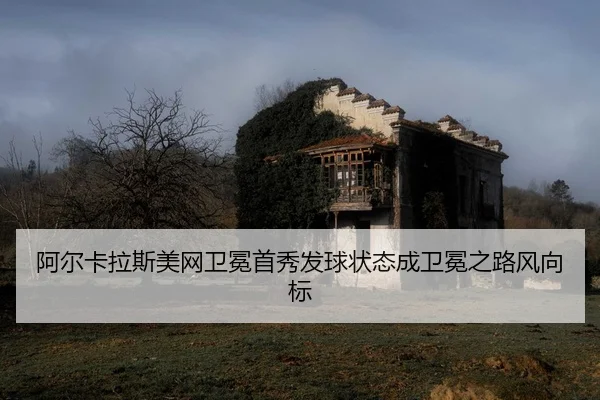 a-er-ka-la-si-mei-wang-wei-mian-shou-xiu-fa-qiu-zhuang-tai-cheng-wei-mian-zhi-lu-feng-xiang-biao-2-164.jpg