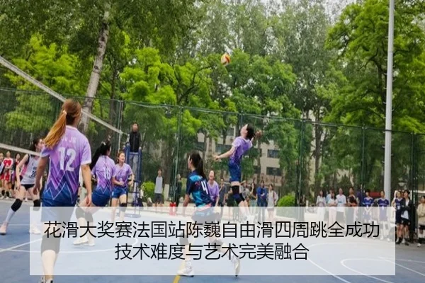 hua-hua-da-jiang-sai-fa-guo-zhan-chen-wei-zi-you-hua-si-zhou-tiao-quan-cheng-gong-ji-shu-nan-du-yu-yi-shu-wan-mei-rong-3-493.jpg