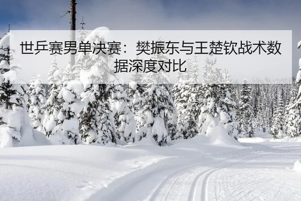 shi-ping-sai-nan-dan-jue-sai-fan-zhen-dong-yu-wang-chu-qin-zhan-shu-shu-ju-shen-du-dui-bi-2-470.jpg